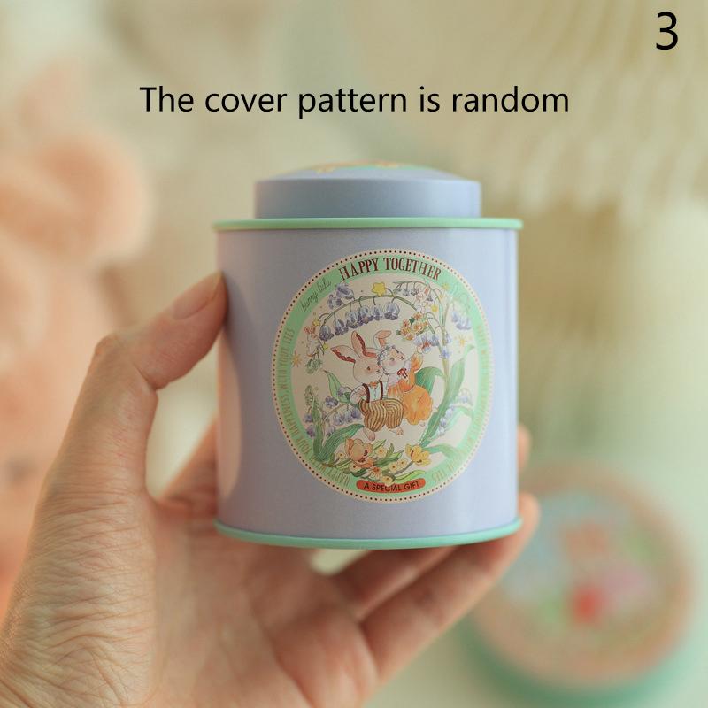 Cartoon Jellycat Rabbit Suitcase Storage Tin Candy Cookie Box Round Metal Jewelry Organizer For Wedding Birthday Party Gift Box