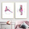 Moderne kleur menselijke anatomie diagram medische skeletstructuur voet poster Nordic canvas educatieve decoratieve schilderkunst aan de muur