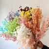 DIY Yunnan Preserved Eryngium & Fruit Dried Flower Bouquet for Instagram