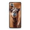 Animal Camel Phone Case Cover for Redmi 14C 10C Note 15 14 13 12 10 11 K40 Pro Plus 5G Soft TPU Shockproof Shell Funda Capas Bag