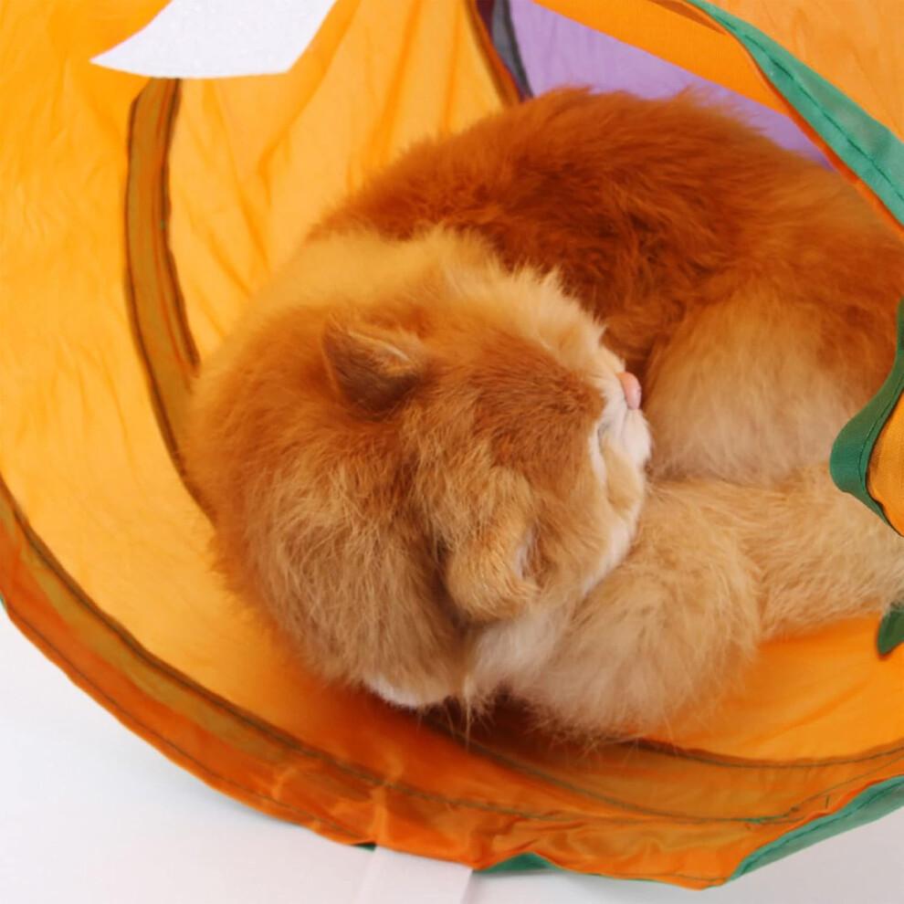 Cat Tunnel LShape Foldable Design with Peekholes for Indoor Cats Kittens and Small Pets