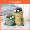 Cartoon Frog Resin Decoration Creative Funny Home Garden Planter For Kids And Adults
