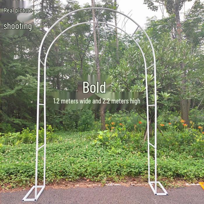 Junran European Style Courtyard Trellis for Climbing Plants and Roses