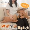 JEMA Gemma Plush Toy Animal Soft and Perfect for Toy 55cm Pillow, Cushion, Dog, Cute, Fluffy, Soothing, Sleeping, Gift, Poodle, Approx.