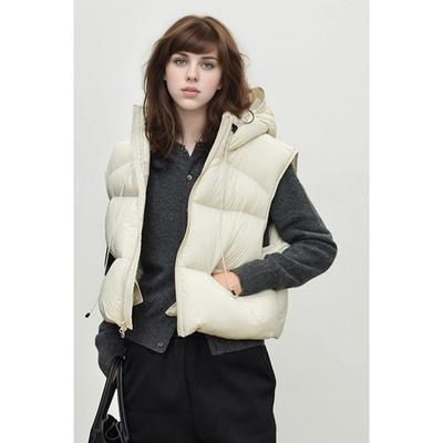 Hooded Short Down Vest Women's Autumn and Winter New Popular Fashion Warm Vest Jacket