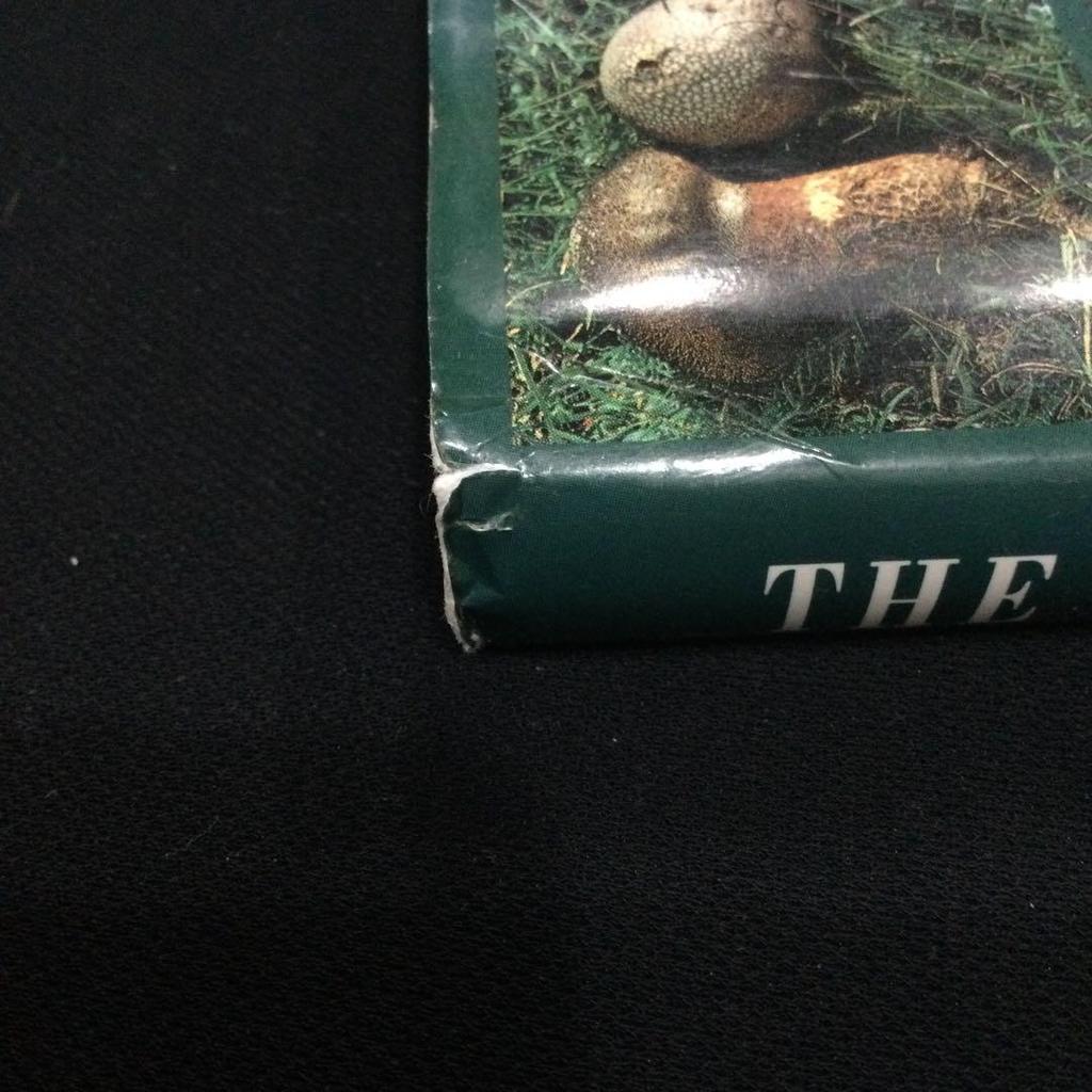 [USED] Mushrooms North America Europe Illustrated Books Foreign Books Mushroom