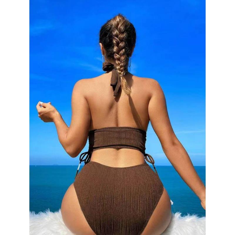 New European and American Swimsuit Special Fabric Solid Color Neck Women's Split Bikini Swimsuit