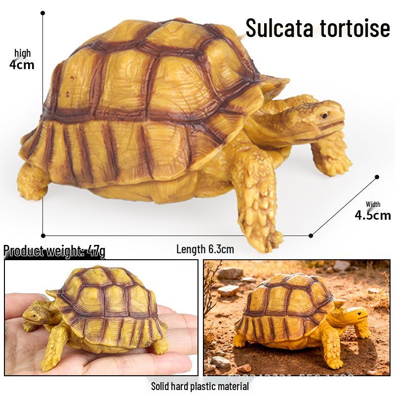 Wild Animal Model: Children's Simulation Turtle Gift Set - Tortoise Variants & Spiderweb Design.