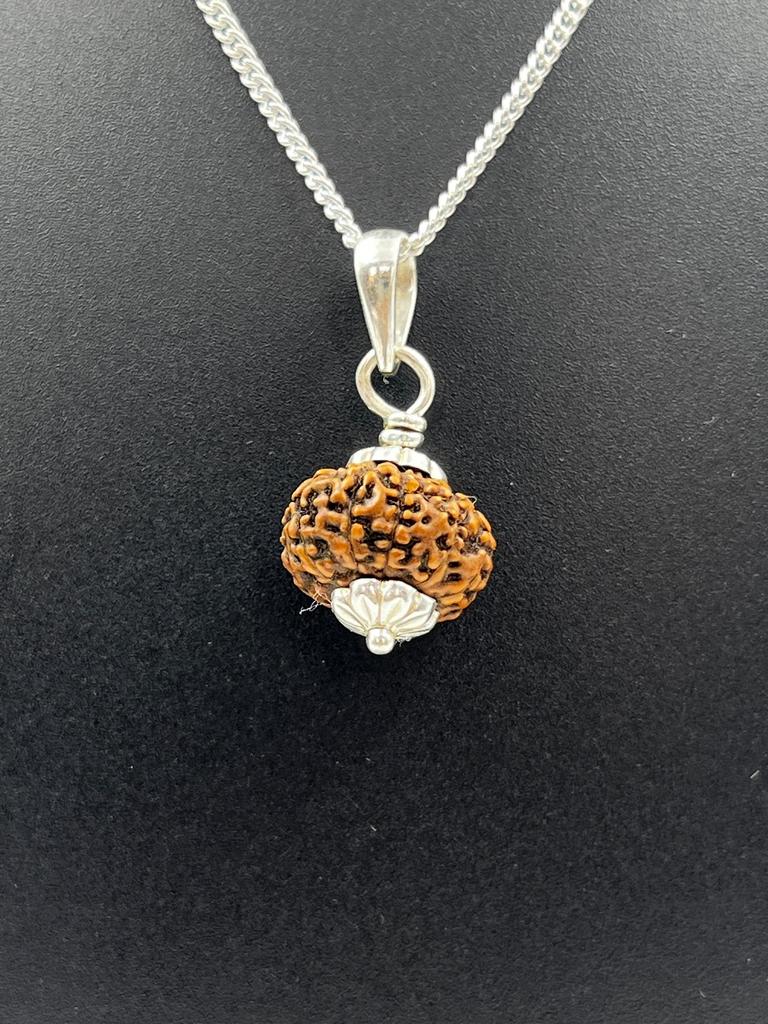 10 Mukhi Indonesia Rudraksha Pendant|925 Silver|Certified Jewelry|Ten Face Rudraksha Necklace|Healing Pendant|Genuine Rudraksha Bead