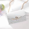 Bag New Women's Bag Autumn and Winter Messenger Bag High-end Trendy Niche Design Leather Chain Small Square Bag