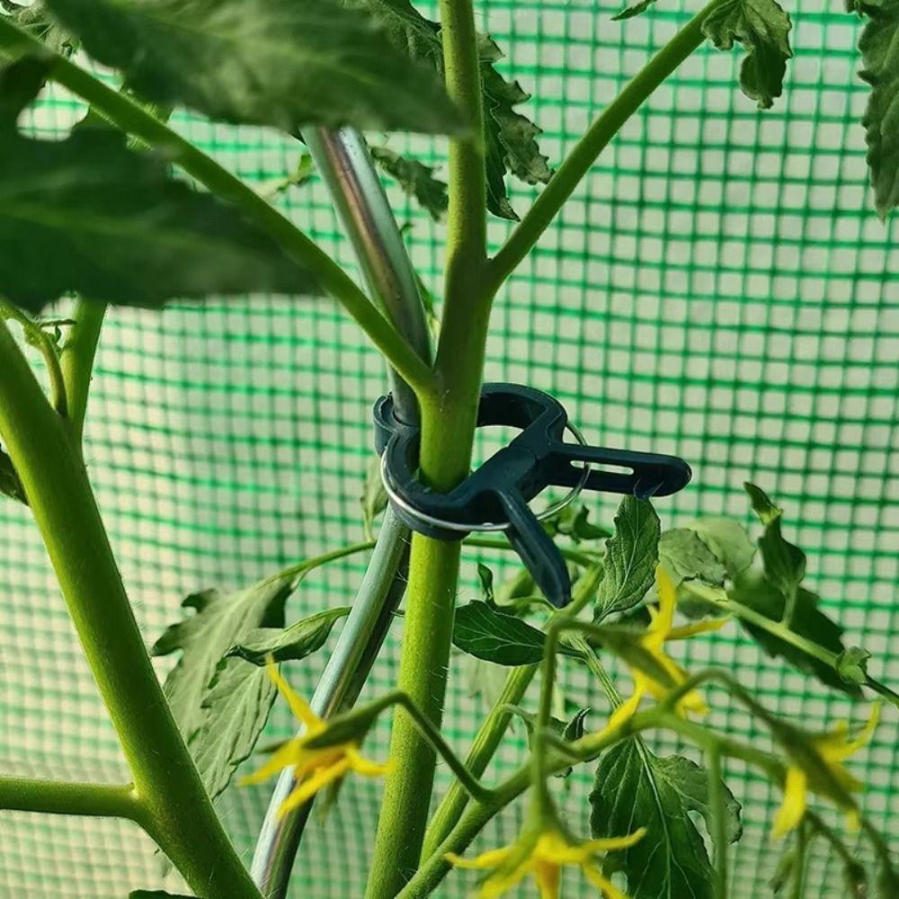 10Pcs Lever Ring Garden Plant Support Clips Durable Plastic Green Lever Ring Clips  Fixed Plants