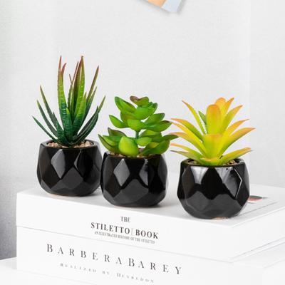 Sztuczna roślina wielokrotnego użytku Realistyczne PVC Utrzymywanie świeżości Łatwa pielęgnacja Sztuczne sukulenty Bonsai