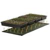 1 Pc Sämling Wärme Matte Pflanze Samen Keimung Wachstum Wärme Matte 50x25 cm 110 V/220 V 18 W Garten Gewächshaus Liefert US UK EU Stecker