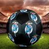 Erling Haaland Indoor Soccer Ball Colorful Machine Stitched PVC Size 5 Team Training Competition Ready Durable High-Bounce Cool Sports Gift