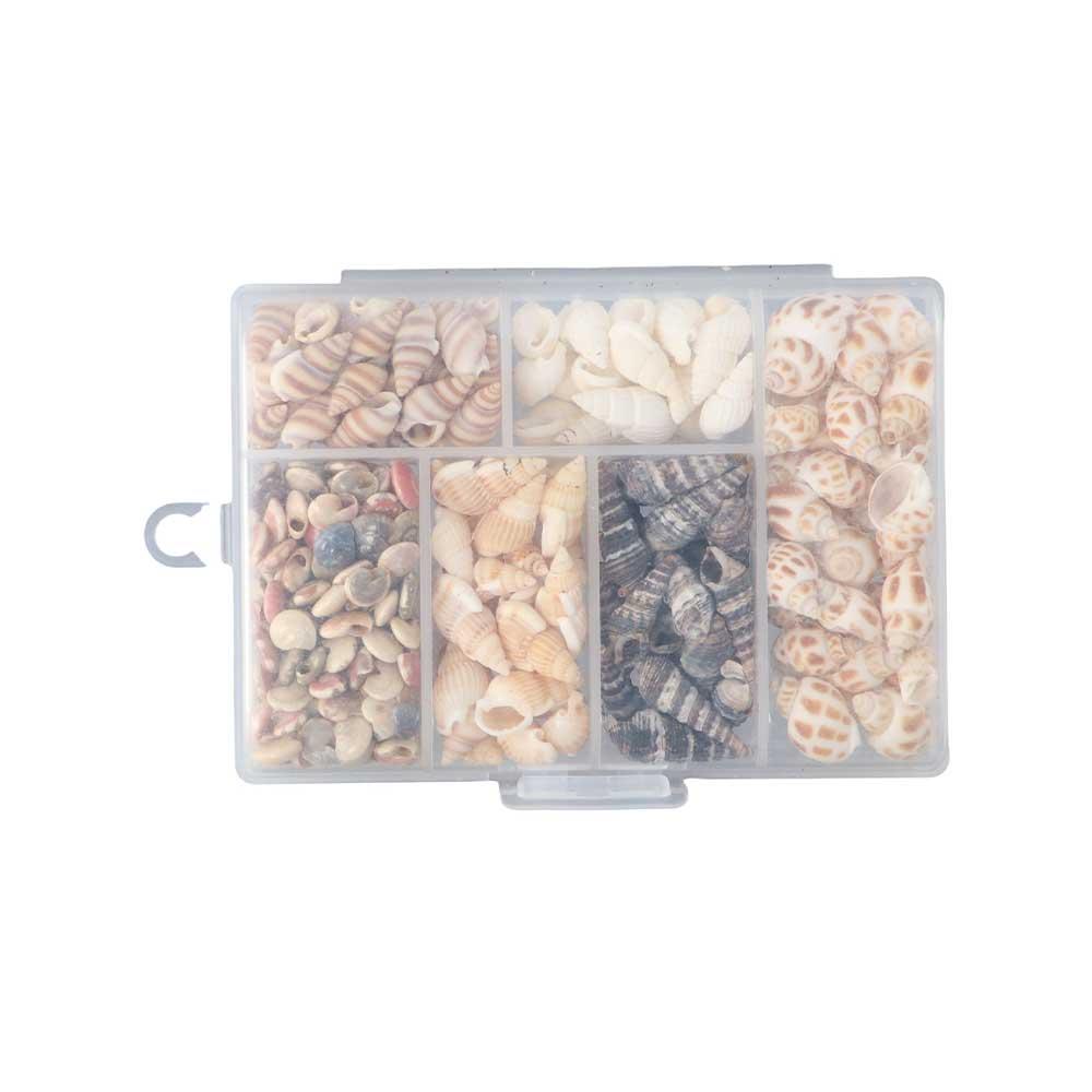 Shell Pendant Natural Sea Shells Non Porous Scallop Mini Conch Home