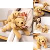Soft And Cuddly Labrador Dog Plush Toy Realistic Stuffed Animal Pillow For Kids