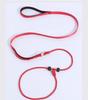 Dog Leash Traction Rope for Small to Medium Breeds
