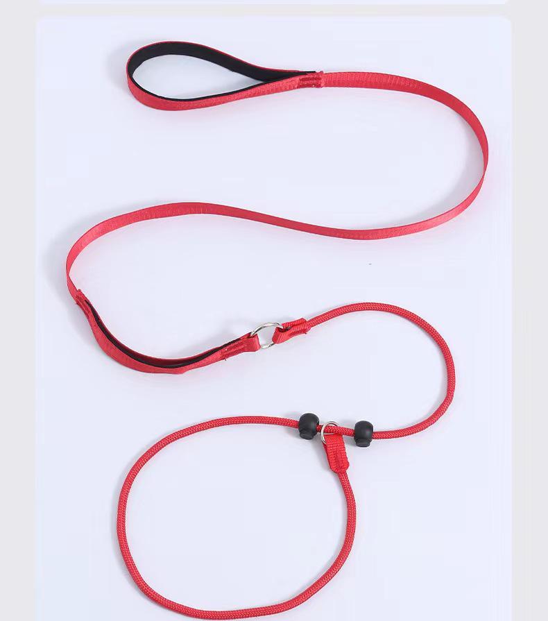 Dog Leash Traction Rope for Small to Medium Breeds