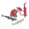 Growth Cycle Model Vinyl Material Safe Odorless Vivid Real Salmon Animal Life Cycle Model for Above