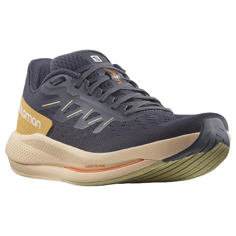 Salomon Spectur