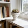 Interesting Lip Flowerpot Shaped Ornaments, Pot Containers, Succulent Flowerpot Containers, Home and Living Room Decorations