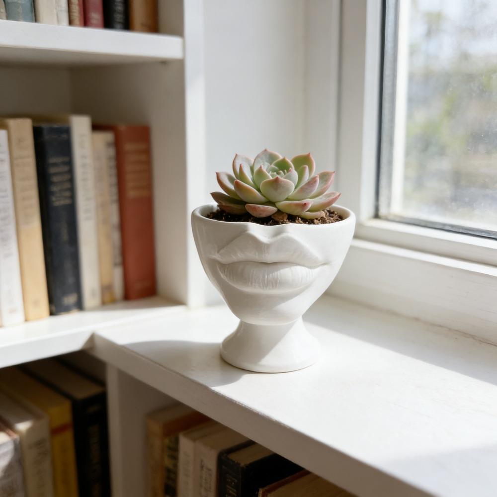 Interesting Lip Flowerpot Shaped Ornaments, Pot Containers, Succulent Flowerpot Containers, Home and Living Room Decorations