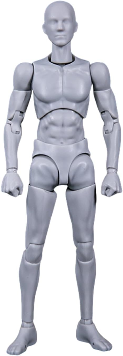 

DAMTOYS GREYMAN 1/12 Scale Action Figure, Male Body, High-Quality Drawing Figure, DPS11