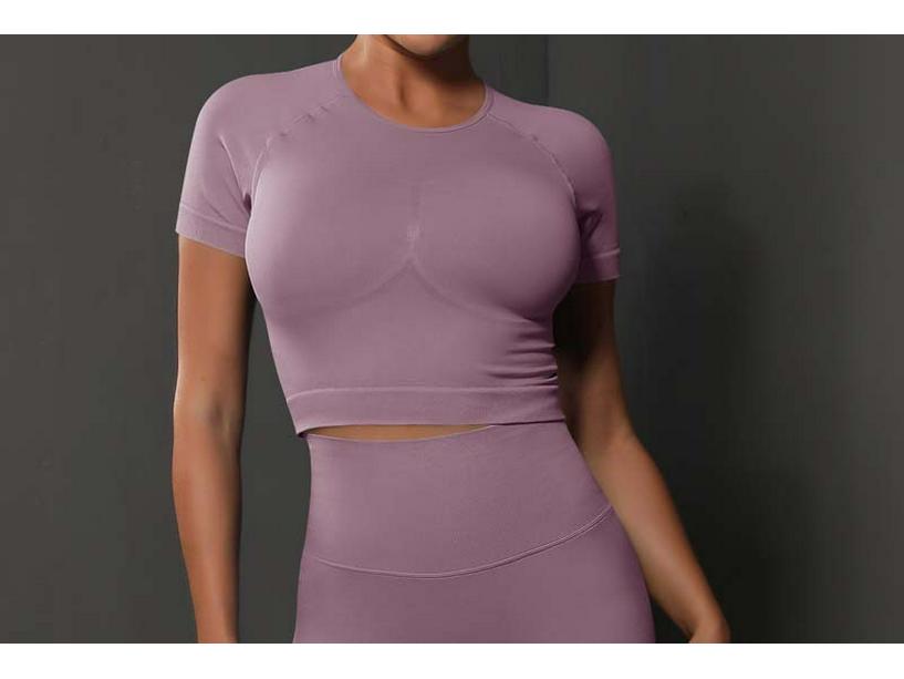 

Женский бесшовный спортивный топ с коротким рукавом, отводящий влагу Large светло-фиолетовый