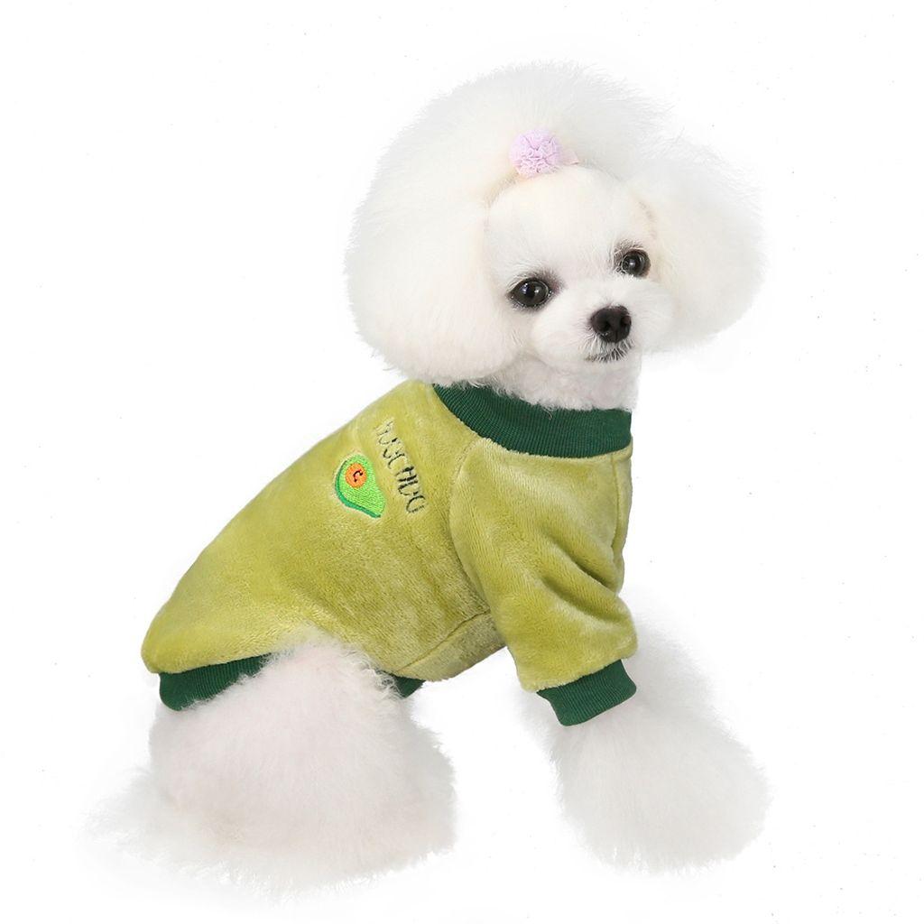 medium dog jacket
