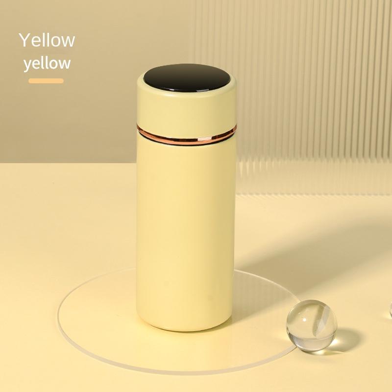 280ML Smart Thermos Water Bottle Intelligent Temperature Display Stainless Steel Vacuum Flasks Thermoses with Filter Tee Cup