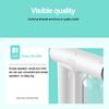 Wireless Nano Fogger Blue Light Steam Electric Household Disinfection Spray Guns