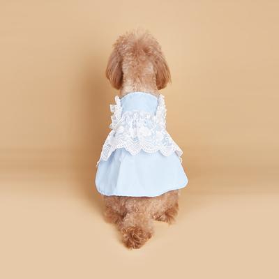 Kleding en schoenen – Jurken voor honden