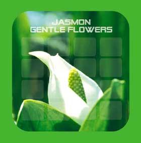 

CD JASMON - Gentle Flowers RTCD0003 Receptor Tune 2003 Japan Dance & Electronica Used