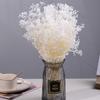 Preserved Gypsophila Dreamy Star Bouquet - Dried Flower Arrangement for Home Decor and Valentine's Day Gift