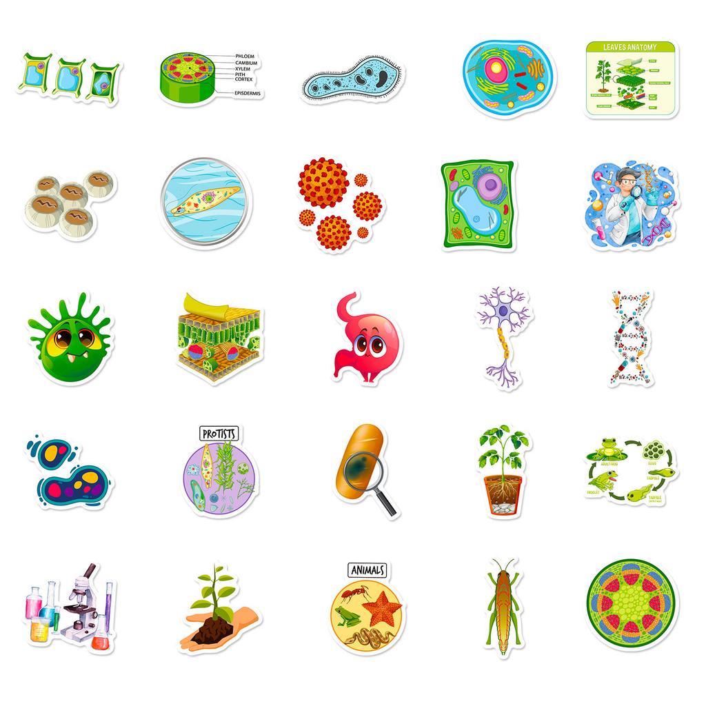 50 Cartoon Biology Stickers Cute Cartoon Biology Class Children'S Stationery Notebook Water Cup Diy Waterproof