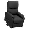 VidaXL Armchair, Reclining Seat with Adjustable Backrest and Footrest, Living Room Chair, Modern, 329740