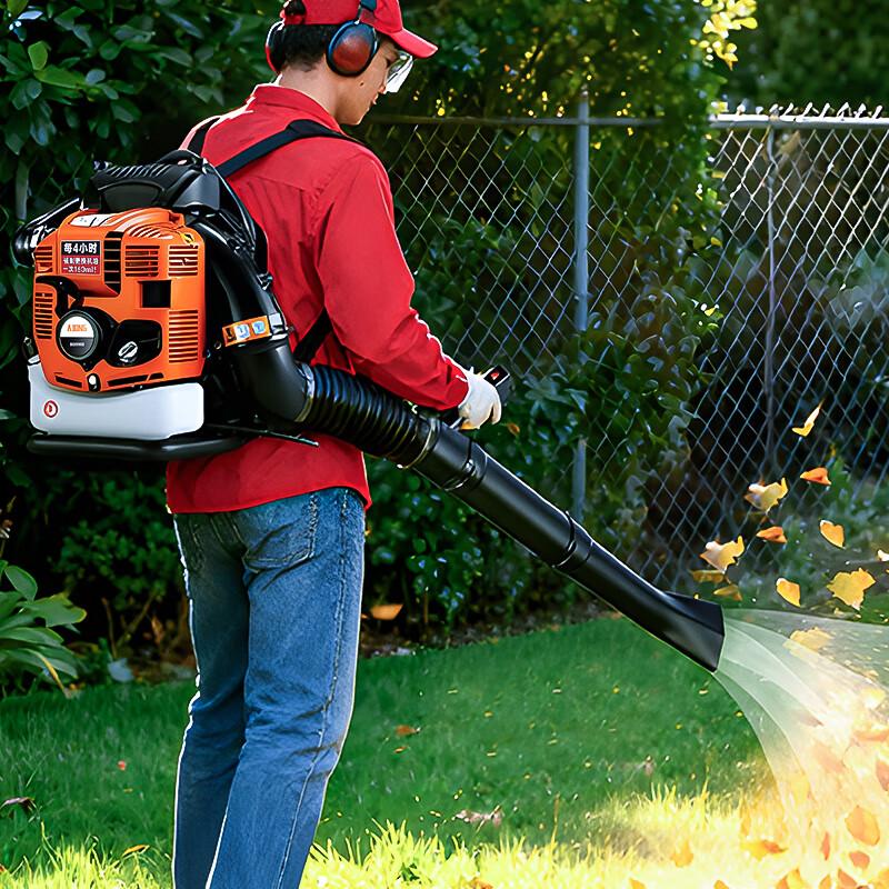 Quiet Bear Gasoline Multi-Purpose Blower CN plug (adapter included)