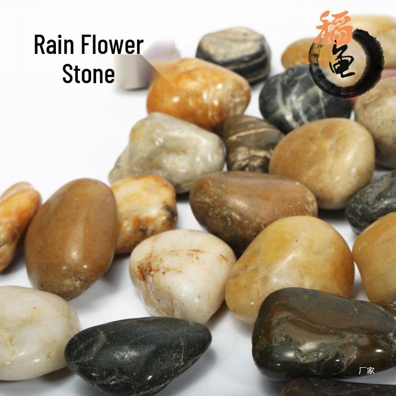 

Aquarium Landscape Decorative River Sand and Pebbles for Turtles and Filtration
