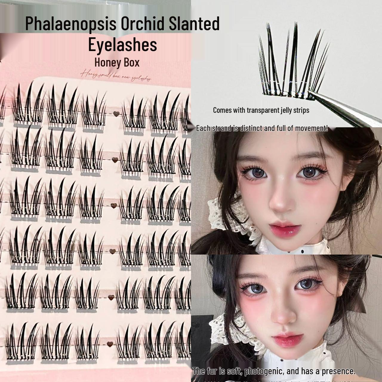 

Natural Clear Root Moth Orchid Slant False Eyelashes - No Glue Needed
