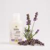 Shampooing Douche Olive Lavender 250ML (Shampoo & Shower Gel)