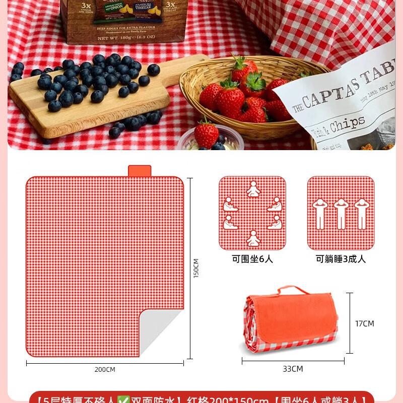 Portable Outdoor Picnic & Camping Mat