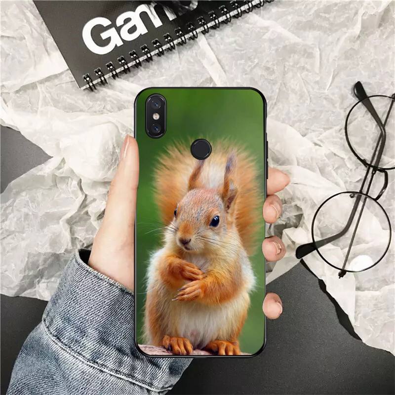 

YNDFCNB Cute Animal Squirrel Customer Phone Case for Xiaomi Redmi 5 5Plus 6 6A 4X 7 7A 8 8A 9 Note 5 5A 6 7 8 8Pro 8T 9 Redmi 6A
