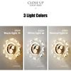 LED Sun Shape Wall Lamp Nordic Indoor Lighting For Home Bedside Lamps Bed Corridor Bedroom Bathroom Living Room Decoration Light