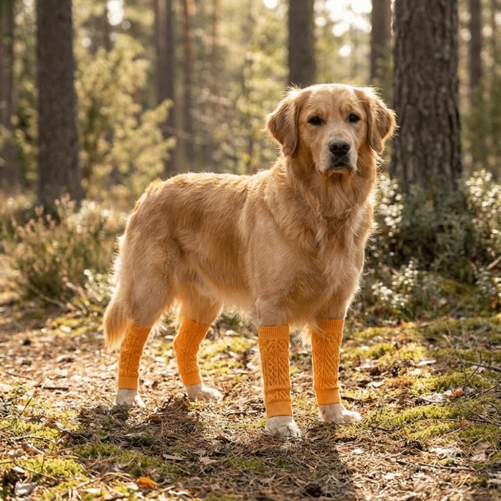 4 Stück Atmungsaktive Hundeknie-Socken Dehnbar Rutschfest Hund Ellenbogen-Schoner Hautfreundlich Kratzfest Haustier Knie-Schoner für Vier Jahreszeiten 2
