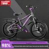 Flying Pigeon Youth Mountain Bike with Integrated Wheels