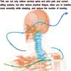 Neck Support Anti-bowing Neck Forward Correction Device Traction Artifact Fixed Support Brace Cervical Spine Neck Protector
