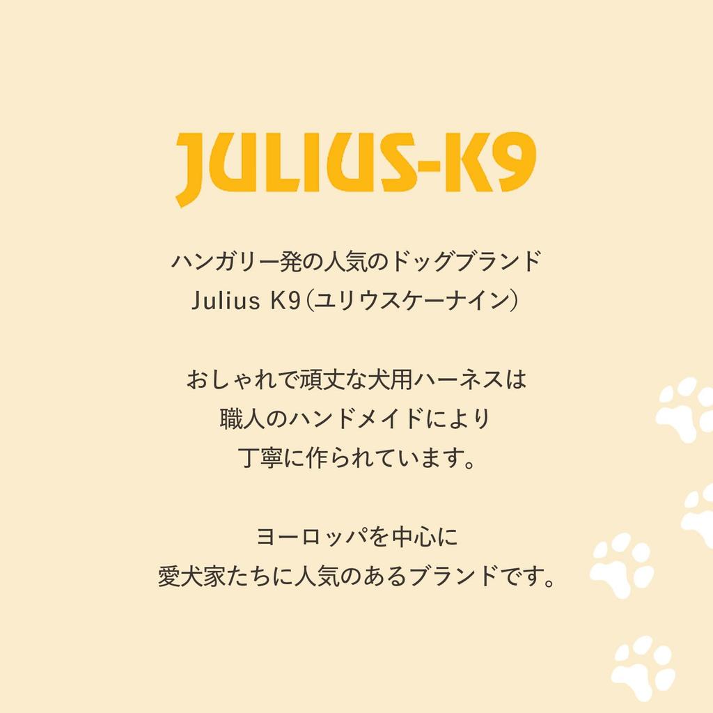 IDC Power Arabesque Red Julius-K9 Harness, Size 2XS/Baby 2,