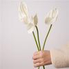 Wedding Background Artificial Anthurium Flower Home Decoration Party Floral Arrangement