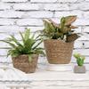 For Plantable Plants Nordic Handicraft Indoor Outdoor Flower Grass Plant Containers Planting Accessory Plant Basket Flower Pots