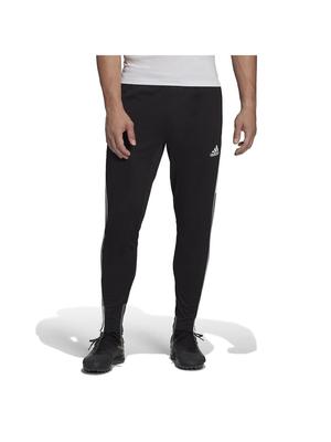 Adidas CONDIVO22 Training XO Pants, Black,